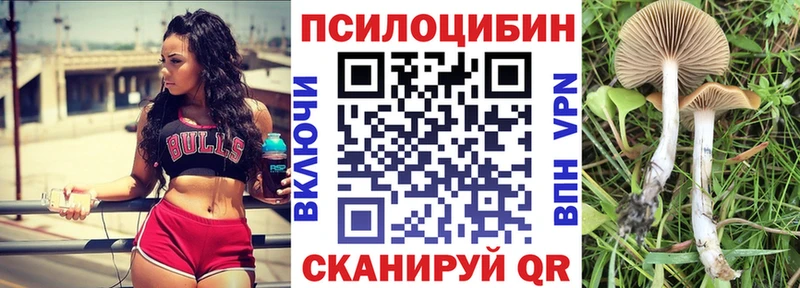 продажа наркотиков  Белая Калитва  Галлюциногенные грибы прущие грибы 