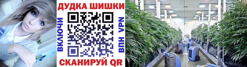 Каннабис ГИДРОПОН  купить  цена  Белая Калитва 
